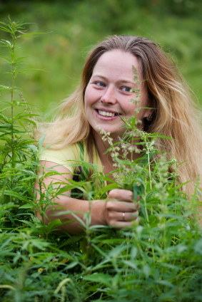 Happy woman with fresh hemp at cannabis plant