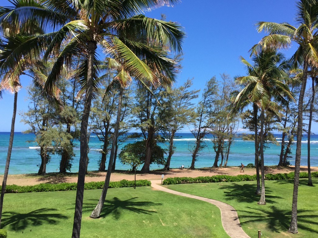 The view from our balcony (or lanai) in Kapa'a, Kauai.