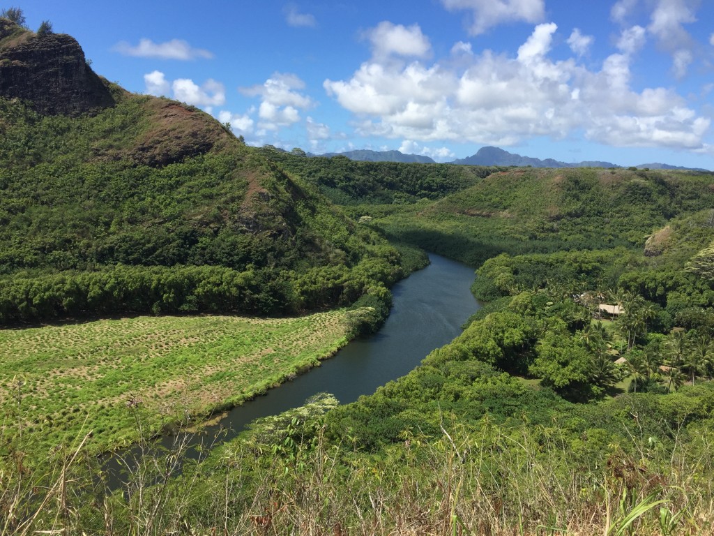 An overlook of the Wailua Heritage Trail. Views like this are not that uncommon in Kauai, which means you are usually gawking and gasping as you gaze.