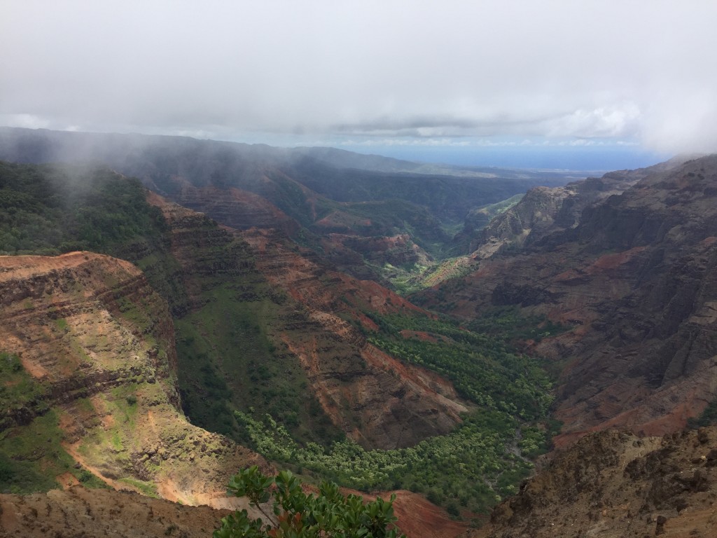 Waimea Canyon, referred to by some as "the Grand Canyon of the Pacific." The colors were much more vibrant and alive than what is shown in this image.